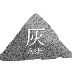 Arata Hirasaka