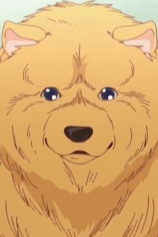 P-chan