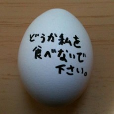 Shichio Kuzu
